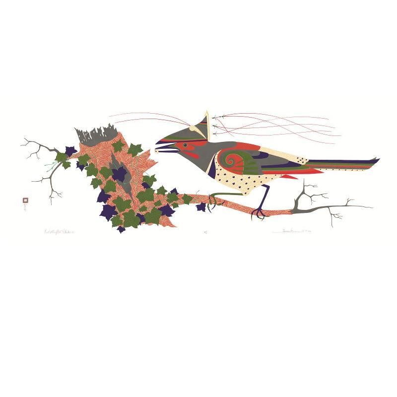 "Red Shafted Flicker"